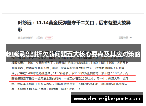 赵鹏深度剖析欠薪问题五大核心要点及其应对策略