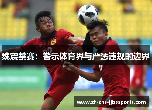 魏震禁赛：警示体育界与严惩违规的边界